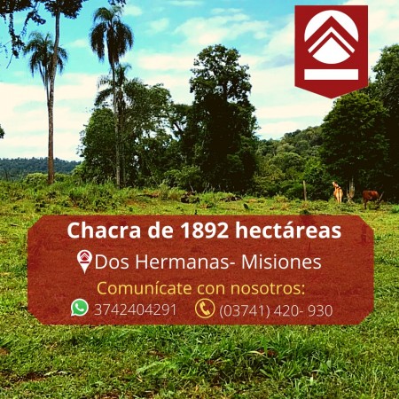 Foto Campo en Venta en Dos Hermanas, Misiones - pix34169594 - BienesOnLine