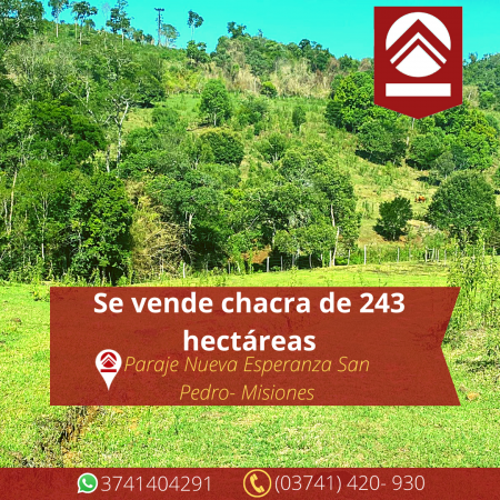 Foto Campo en Venta en San Pedro, Misiones - pix44612594 - BienesOnLine
