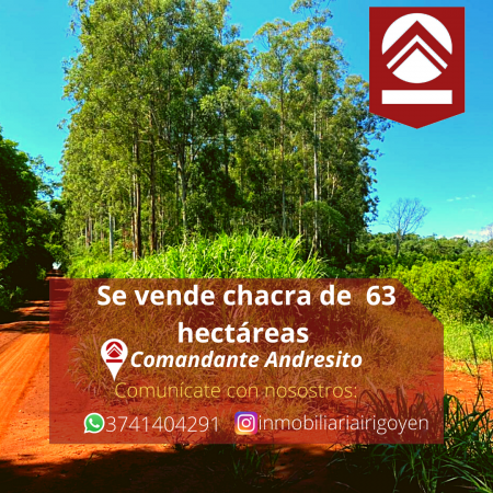 Foto Campo en Venta en Comandante Andresito, Misiones - pix47374594 - BienesOnLine