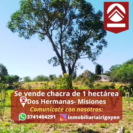 Foto Campo en Venta en Dos Hermanas, Misiones - pix90366594 - BienesOnLine