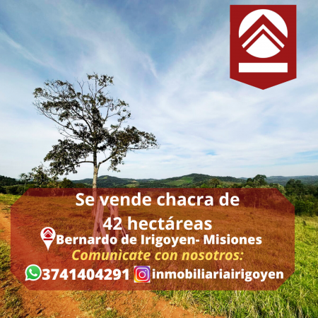 Foto Campo en Venta en Bernardo De Irigoyen, Misiones - pix91319594 - BienesOnLine