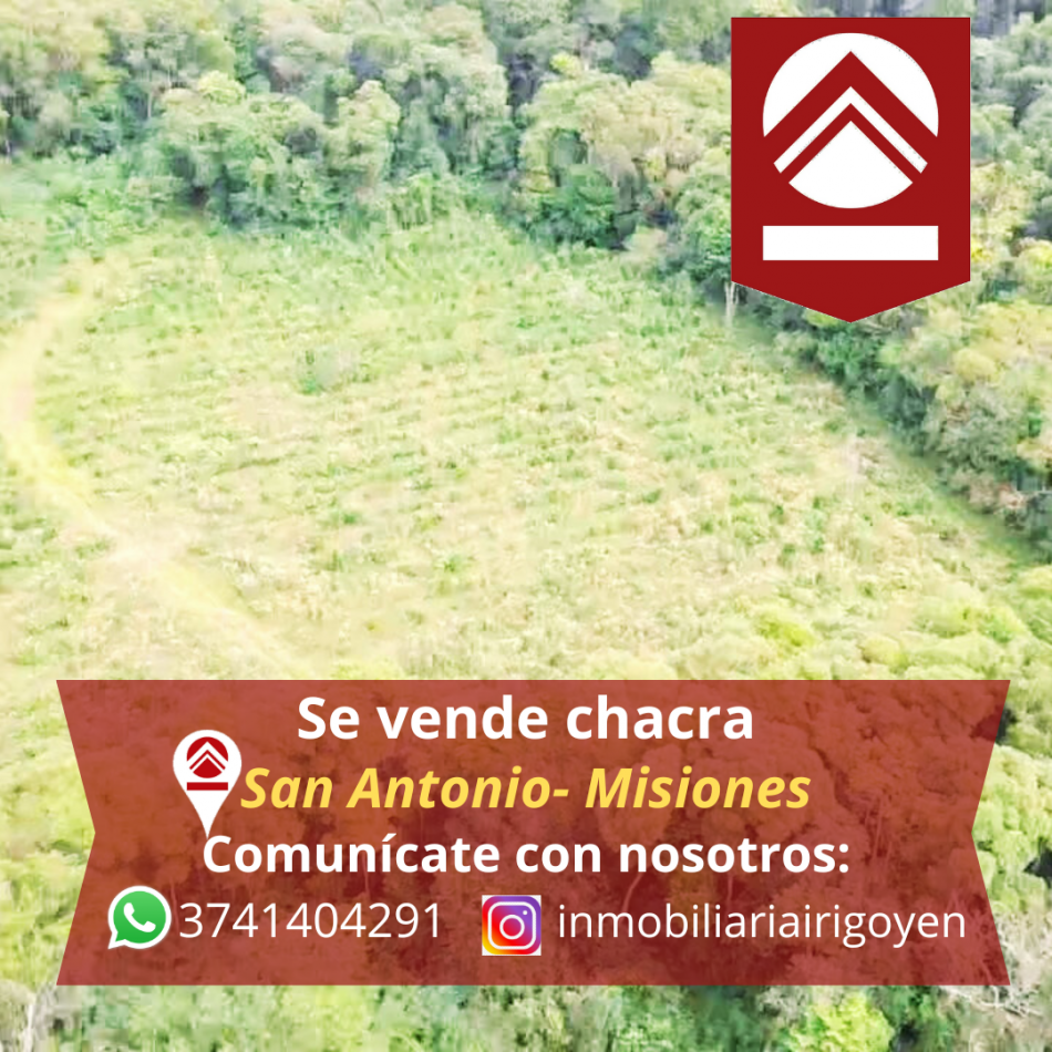 Foto Campo en Venta en Bernardo De Irigoyen, Misiones - pix119442594 - BienesOnLine